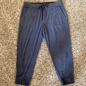 Lou & Grey Large Velour Sweatpants.